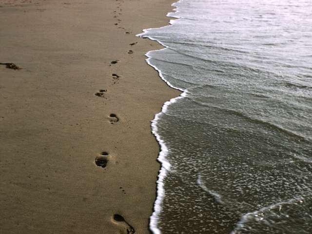 Shore Shore